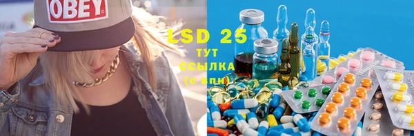 spice Бородино