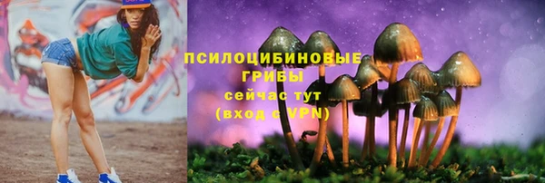 spice Бородино