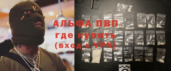 spice Бородино