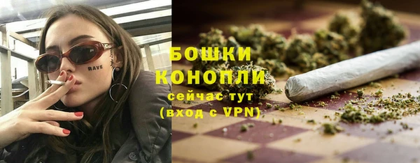 spice Бородино